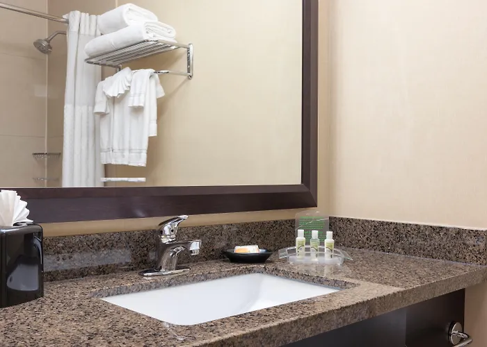 Hotel Chicago - Elk Grove, An Ihg 3*
