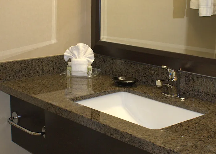 Hotel Chicago - Elk Grove, An Ihg Elk Grove Village